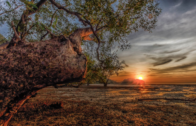 Обои картинки фото природа, восходы, закаты, простор