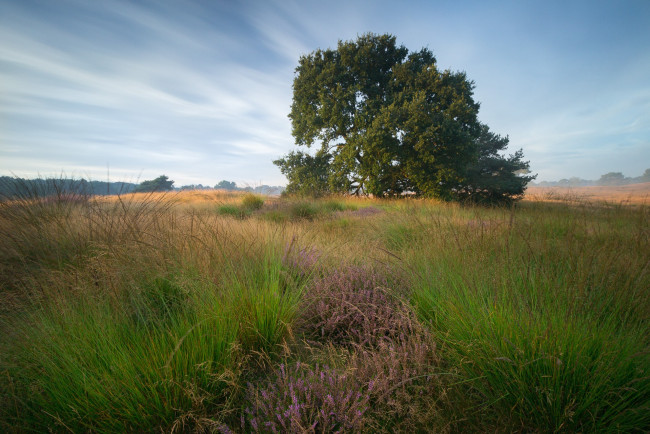 Обои картинки фото природа, пейзажи, простор