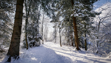 Картинка природа зима снег сугробы