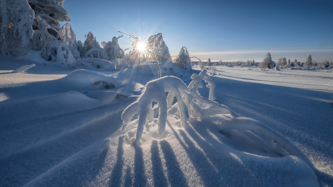 Обои картинки фото природа, зима, снег, сугробы