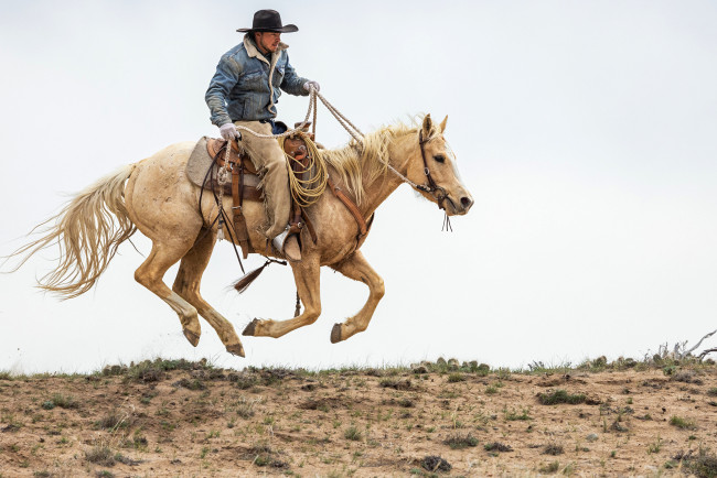 Обои картинки фото мужчины, - креатив,  косплей, лошадь, ковбой, шляпа, куртка, пoлeт