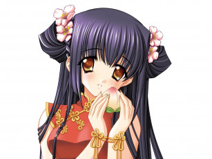 Картинка аниме moonlight lady