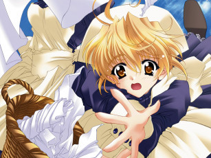 Картинка аниме moonlight lady