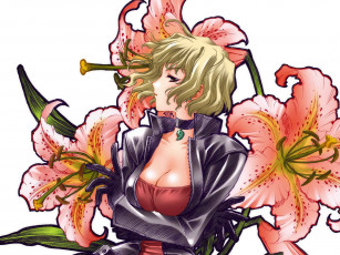 Картинка аниме moonlight lady