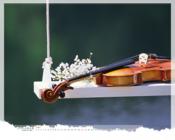 Обои картинки фото музыка, музыкальные, инструменты, скрипка