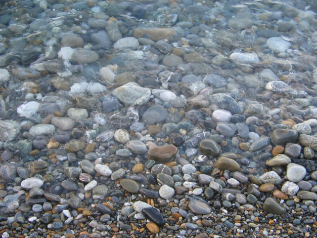 Обои картинки фото 