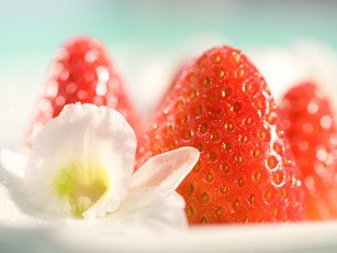 Картинка еда клубника земляника