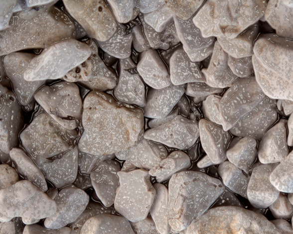 Обои картинки фото 