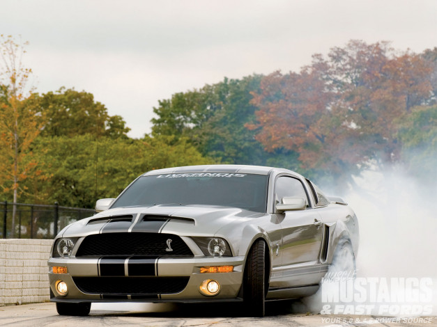 Обои картинки фото автомобили, mustang