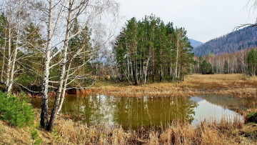 Картинка природа реки озера лес озеро