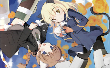 Картинка аниме strike witches