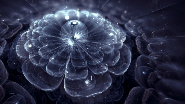 Обои картинки фото 3д, графика, flowers, цветы, узор