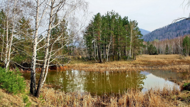 Обои картинки фото природа, реки, озера, лес, озеро