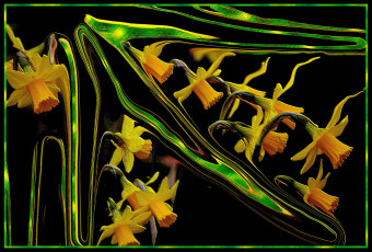 Картинка 3д графика flowers цветы изгибы линии узор цвета фон