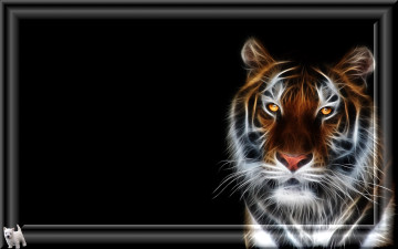 обоя 3д, графика, animals, животные, тигр