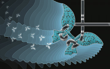 Картинка 3д графика fractal фракталы цвета узор линии изгибы фон