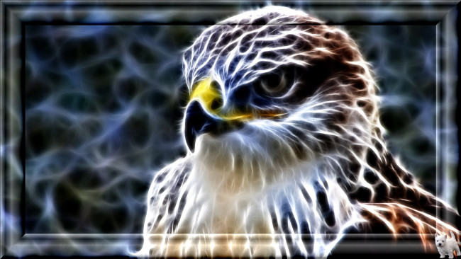 Обои картинки фото 3д, графика, animals, животные, орел