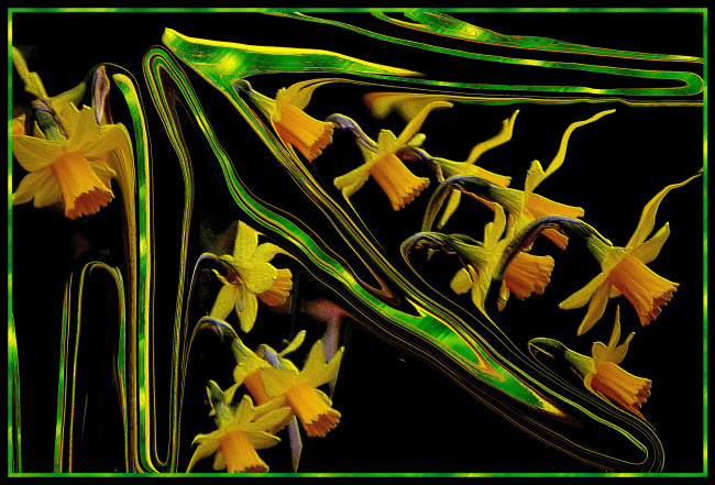 Обои картинки фото 3д, графика, flowers, цветы, изгибы, линии, узор, цвета, фон