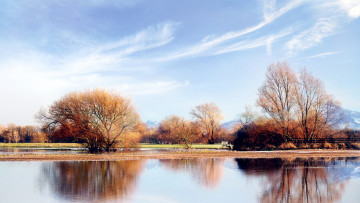 Картинка природа реки озера деревья