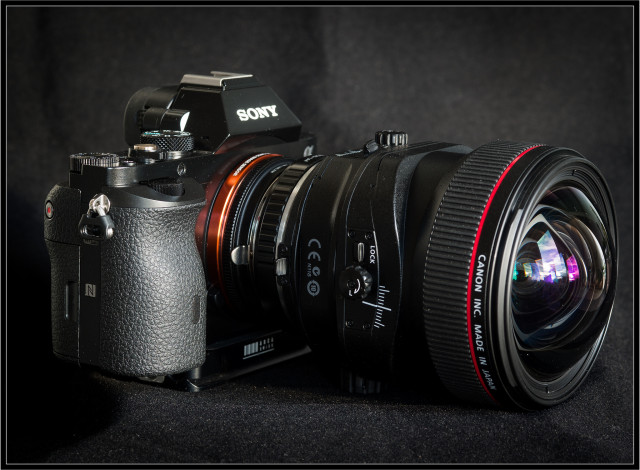 Обои картинки фото бренды, sony, фотокамера, объектив