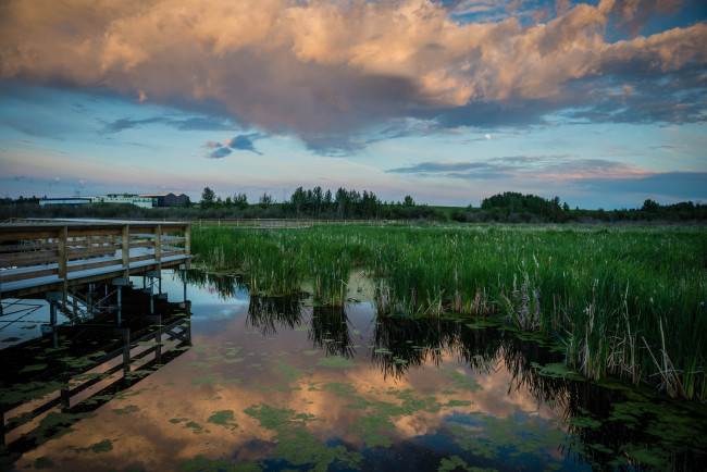 Обои картинки фото природа, реки, озера, озеро, тучи, мостик, осока