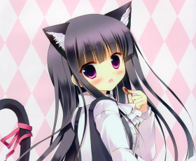 Картинка аниме inu+x+boku+ss shirakiin ririchiyo