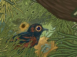 Картинка рисованное животные птичка