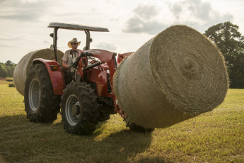 Картинка техника фронтальные+погрузчики massey ferguson