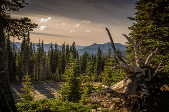 Картинка природа пейзажи тракт