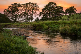 Картинка природа реки озера лес река