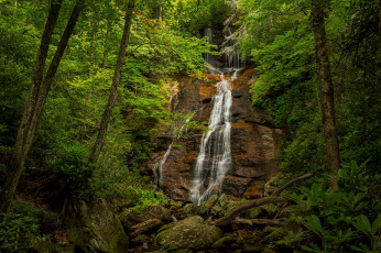 Картинка природа водопады лес река водопад