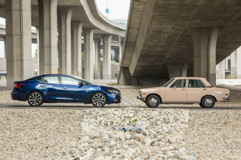 Картинка автомобили nissan datsun