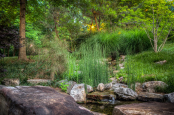 Картинка природа реки озера лес река