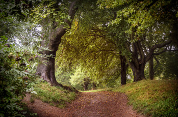 Картинка природа дороги тракт