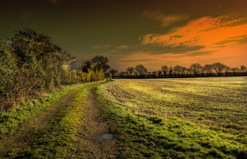 Картинка природа дороги тракт