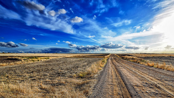 Картинка природа дороги тракт