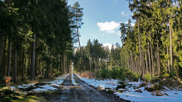 Картинка природа дороги тракт