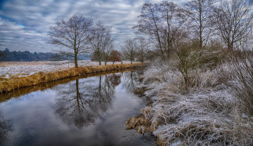 Картинка природа реки озера лес река