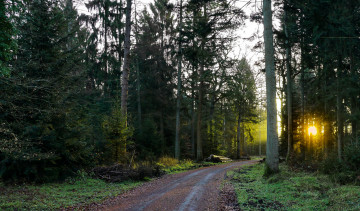 Картинка природа дороги тракт