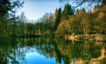 Картинка природа реки озера лес река