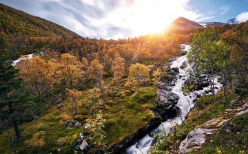 Картинка природа реки озера лес река