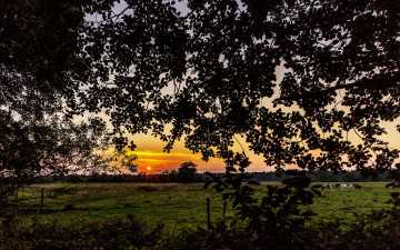 Картинка природа восходы закаты рассвет