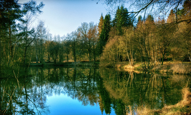 Обои картинки фото природа, реки, озера, лес, река