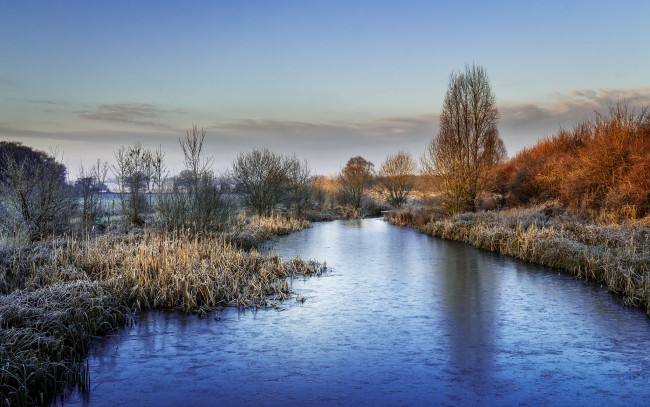 Обои картинки фото природа, реки, озера, лес, река