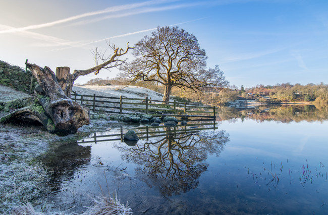 Обои картинки фото природа, реки, озера, лес, река