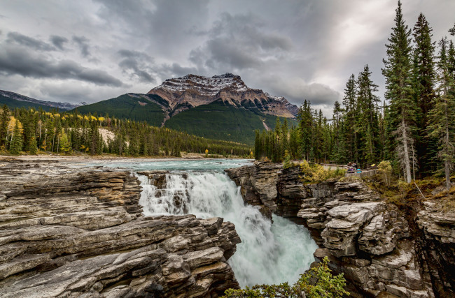 Обои картинки фото природа, водопады, лес, река, водопад