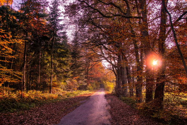 Обои картинки фото природа, дороги, тракт