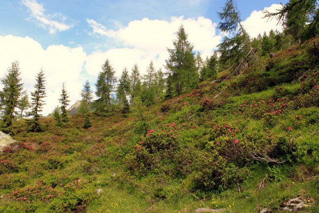 Обои картинки фото природа, пейзажи, простор