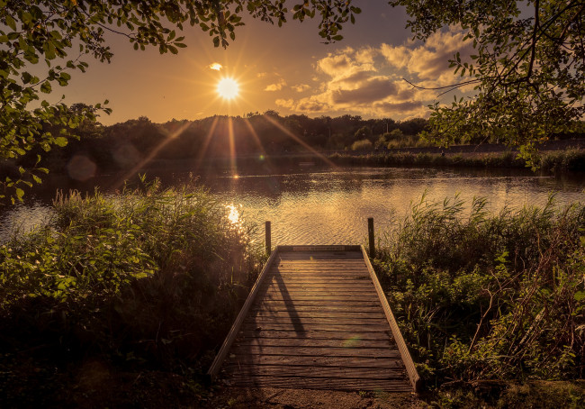 Обои картинки фото природа, реки, озера, лес, река