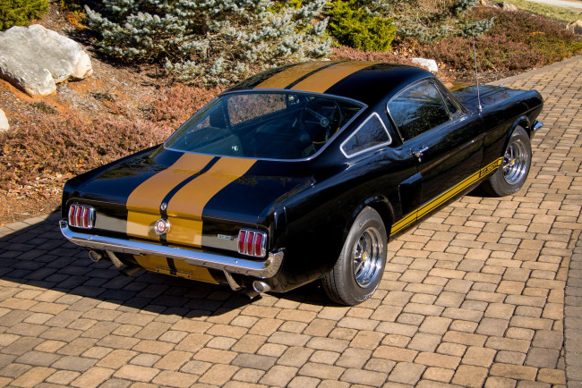 Обои картинки фото автомобили, mustang